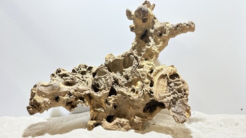 Savannenholz ähnlich mopani - savannenholz,