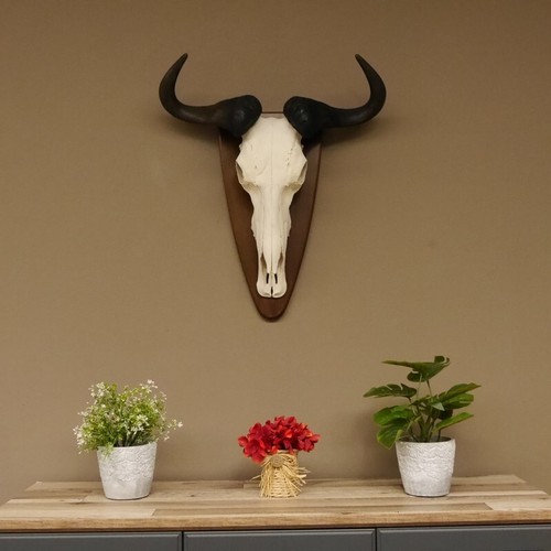 Gnu streifengnu - gnu,