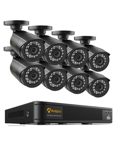 Anlapus 8ch 1080p - anlapus,
