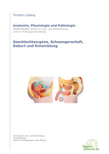 Skript Heilpraktiker