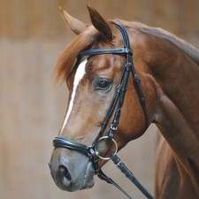 % Kavalkade Trense Lina