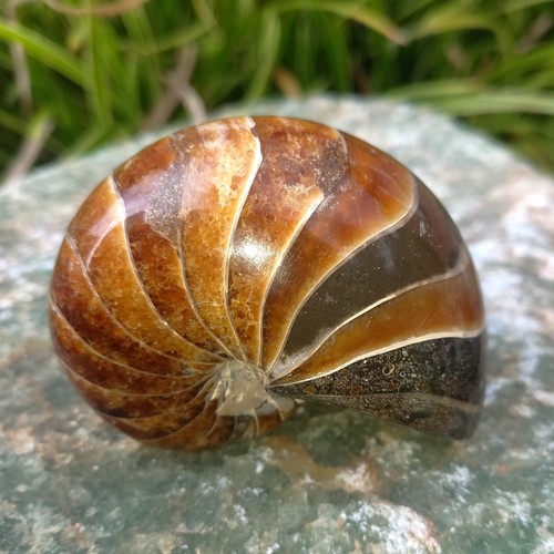 8cm sehr großer - 8cm,