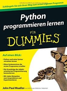 Python programmieren lernen
