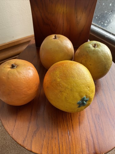 Display künstliche obst - kÜnstliche,