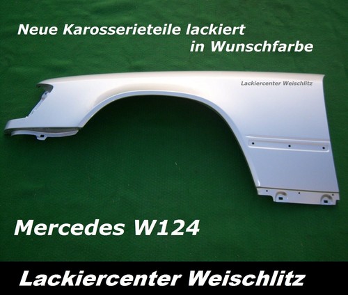 Kotflügel lackiert - kotflÜgel,