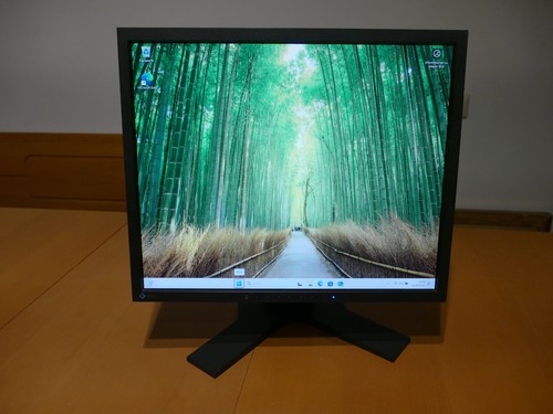 Eizo flexscan s1901 - 48, cm