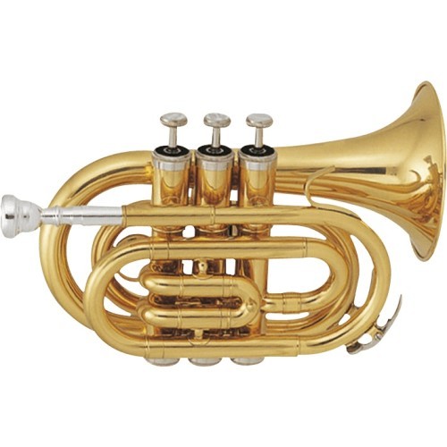 Sml paris vsm tp50 - sml,