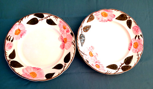 Villeroy boch wildrose 2 - wildrose,