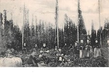 59. Nr. 205719. bailleul