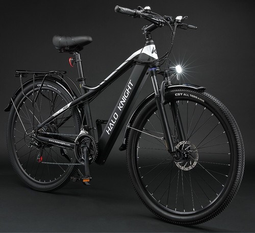Zoll elektrofahrrad - 29,