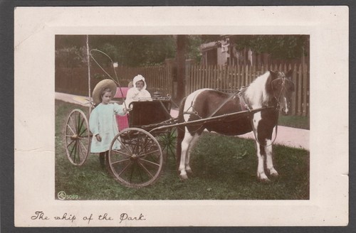 Pony und falle - pony,