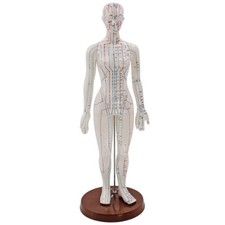 Akupunkturmodell Mensch Frau weiblicher Körper Lehrhilfe f. Akupunkturpunkte