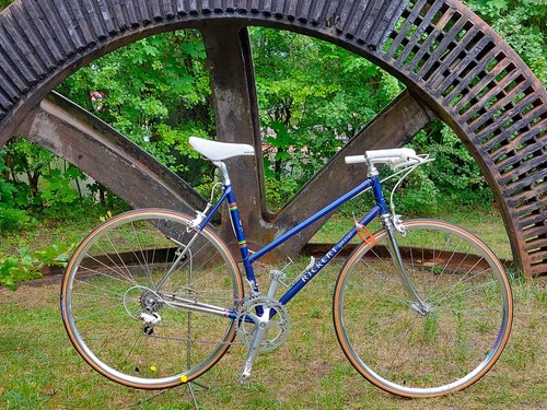 Rickert spezial donna - rickert, „donna“