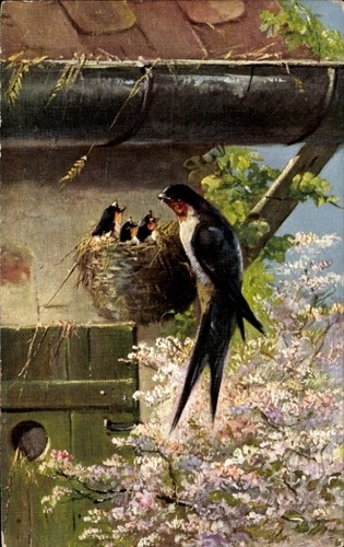 Glückwunsch pfingsten - glückwunsch,