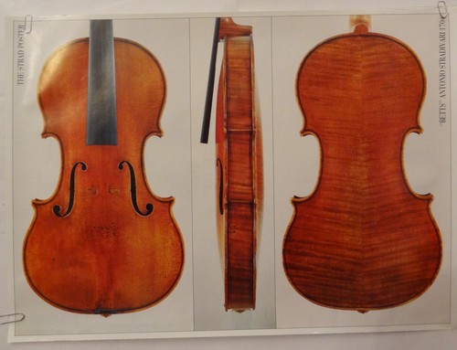 Poster violine antonio - violine,