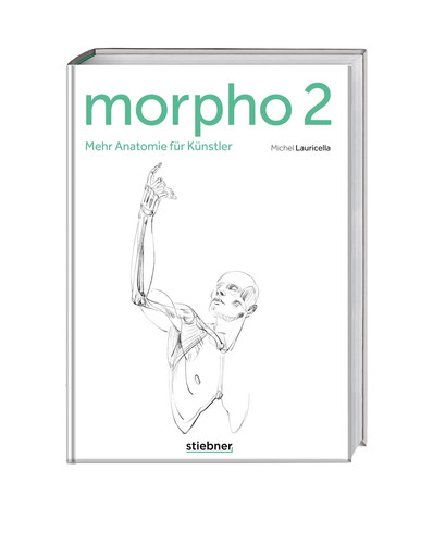 Morpho mehr anatomie - morpho, für