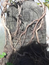 Outdoor Bonsai Teelicht Buddha