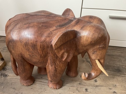 Kleiner afrika elefant - kleiner,