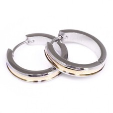 Titan Titanium Klapp Creolen