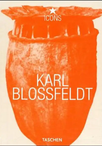 Blossfeldt