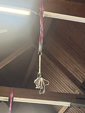 Bungee Fitnessgeräte - NEU