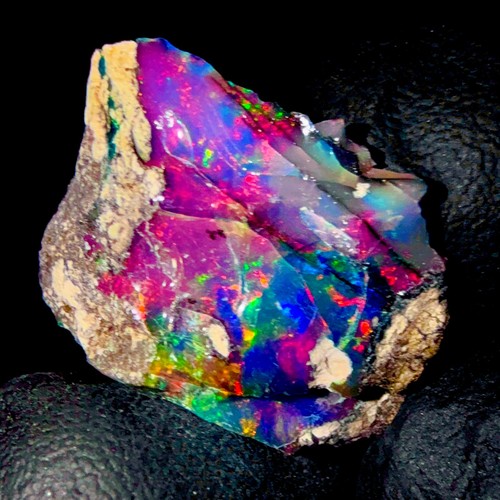 Ethiopischer schwarzer - ethiopischer,