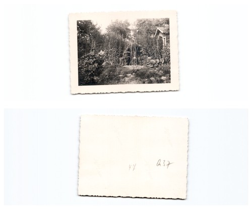 Köln - (c11019a37),