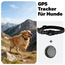 Haustier GPS Tracker Halsband