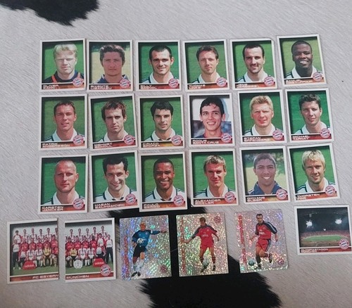 Bayern münchen panini - fc,