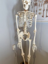 Lebensgroßes Menschliches