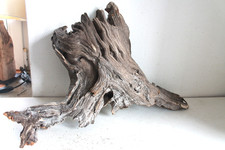 Schwemmholz Treibholz Skulptur