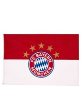 Hissflagge Fahne FC Bayern