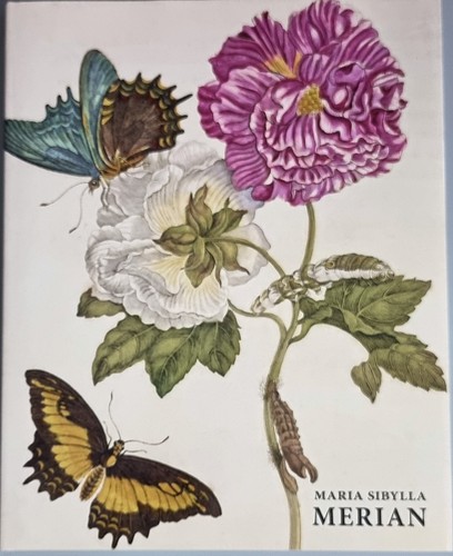 Maria sibylla merian artist - sibylla,