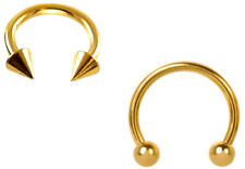 Circular Barbell Hufeisen