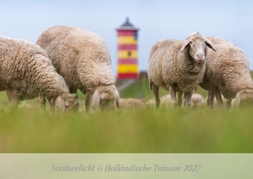Wandkalender 2027 ostfriesland - wandkalender,