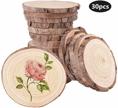 Holzscheiben holz log - 30×holzscheiben,