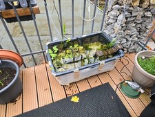 Teichwanne 90l Rechteckig Kunststoff Terrassenbecken mit viel Zubehör 