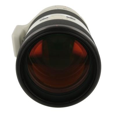 Sony 200mm af g - sony, ssm