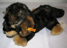 Steiff Rauhaardackel - MORITZ - 30 cm - gespitzt - 076985 - Vitrinenaufbewahrung