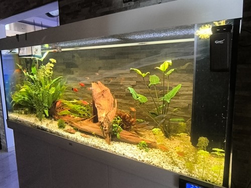 Juwel aquarium 450 liter - juwel,