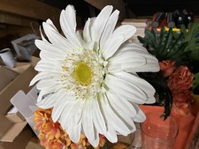 Deko Blume Margerite 100cm