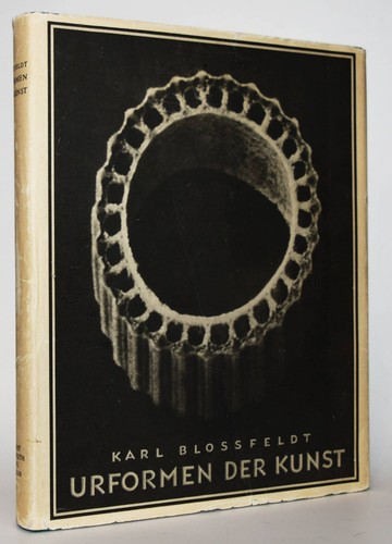 Blossfeldt karl urformen - urformen, der