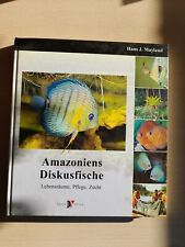 Amazoniens Diskusfische