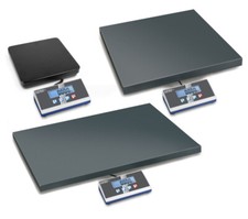 Modern Large Platform Parcel