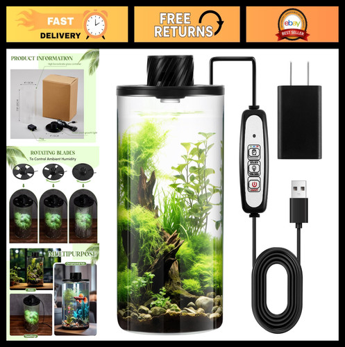 Glass plant terrarium kit - terrarium, with