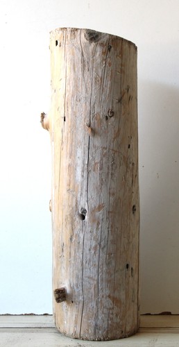 Treibholz schwemmholz - treibholz,