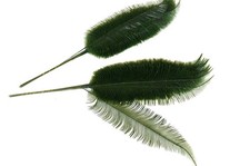 12 St. Palmwedel Kunstpalmen