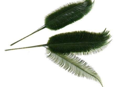 Palmwedel kunstpalmen - 12,