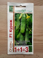 Gurkensamen F1 Kurash GAVRISH/