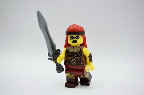 Barbarin fierce barbarian - barbarin,